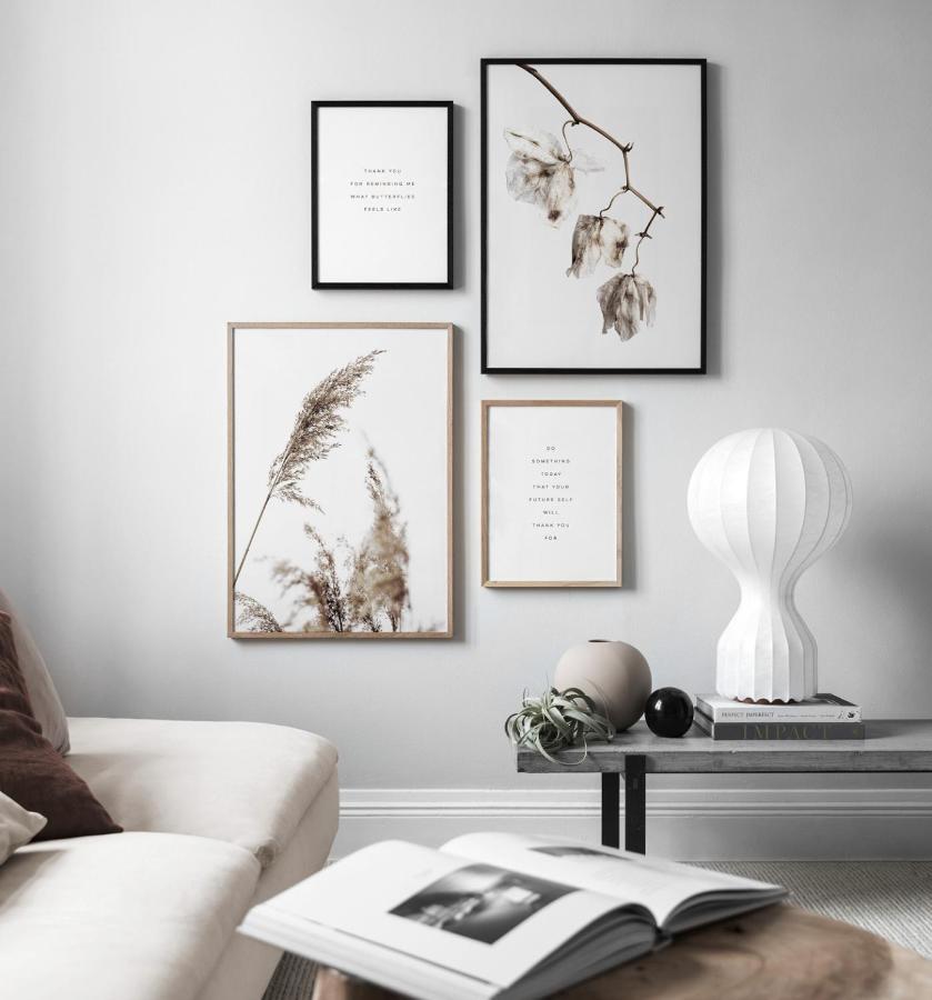 Room 255 La Casa Delle Spie โกริเซีย ภายนอก รูปภาพ